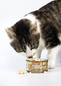 MARP HOLISTIC PLUS KONZERVA PRE MAČKY – KURACIE PRSIA VO VÝVARE 70G - KONZERVY PRE MAČKY