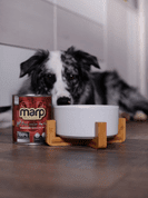 AMINELA KERAMICKÁ MISKA V DREVENOM STOJANE - BIELA 750ML - MISKY PRE PSOV