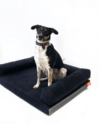 AMINELA  PELECH S OKRAJOM 100X70CM HALF AND HALF ČIERNA/SIVÁ - PELECHY PRE PSOV