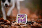 MARP MIX VANIČKA PRE PSOV KURA+ZELENINA 16X100G - KONZERVY PRE PSOV