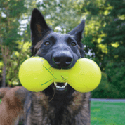 RUFF DAWG NEZNIČITEĽNÁ HRAČKA PRE PSOV ČINKA 21,5CM - HRAČKY PRE PSOV