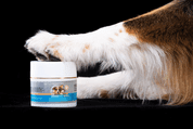 AMINELA CLEAN MASLO NA LABKY PRE PSY A MAČKY 100G - HYGIENA