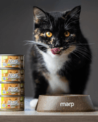 MARP HOLISTIC PLUS KONZERVA PRE MAČKY – KURACIE PATÉ S HOVÄDZÍMI KÚSKAMI 24X70G - KONZERVY PRE MAČKY
