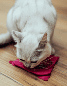 AMARAGO LÍZACIA PODLOŽKA TROJUHOLNÍK - RUŽOVÝ - MISKY PRE PSOV