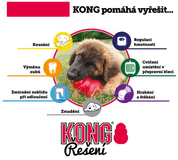 KONG HRAČKA GUMA CLASSIC GRANÁT L ČERVENÁ - HRAČKY PRE PSOV