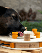 DREVENÝ HLAVOLAM BIRTHDAY CAKE/OBTIAŽNOSŤ 1-4 - HLAVOLAMY