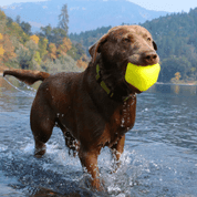 RUFF DAWG NEZNIČITEĽNÁ HRAČKA PRE PSOV KOCKA 8,9CM - HRAČKY PRE PSOV