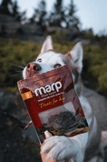 MARP HOLISTIC - SUŠENÉ TEĽACIE MÄSO 40G - MAŠKRTY PRE PSOV