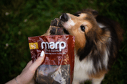 MARP TREATS BUFFALO JERKY - SUŠENÝ PAŽERÁK 100G - MAŠKRTY PRE PSOV