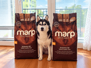 MARP HOLISTIC LAMB - JAHŇACIE BEZ OBILNÍN 17KG - GRANULE PRE DOSPELÝCH PSOV