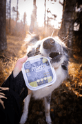 MARP NATURAL PLUS VANIČKA PRE PSOV S KURAŤOM A TEĽACÍM 12X150G - KONZERVY PRE PSOV