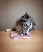 AMARAGO LÍZACIA PODLOŽKA HRANATÁ 20X20CM RUŽOVÁ - MISKY PRE PSOV