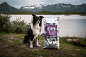 MARP HOLISTIC WHITE MIX LB - PRE VEĽKÉ PLEMENÁ BEZ OBILNÍN 12KG - GRANULE PRE PSOV