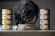 MARP HOLISTIC PLUS KONZERVA PRE MAČKY – KURA S KREVETAMI A BRUSNICAMI V ŽELÉ 70G 2 + 1 KS ZADARMO - KONZERVY PRE MAČKY
