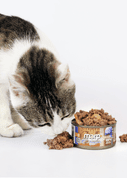 MARP HOLISTIC PLUS KONZERVA PRE MAČKY – TUNIAKOVÉ PATÉ S KREVETAMI 70G 2 + 1 KS ZADARMO - KONZERVY PRE MAČKY