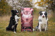 MARP HOLISTIC SALMON - LOSOSOVEJ BEZ OBILNÍN 12KG - GRANULE PRE ŠTĚŇATÁ