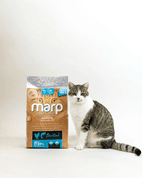 MARP HOLISTIC STERILISED  CAT - PRE KASTROVANÉ A STARŠIE MAČKY 2KG - GRANULE PRE MAČKY