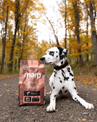 MARP HOLISTIC SALMON - LOSOSOVEJ BEZ OBILNÍN 2KG - GRANULE PRE ŠTĚŇATÁ