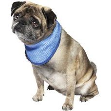 Nobby chladiaci šatka M pre psa 30-43cm ZĽAVA 20 % VÝPREDAJ