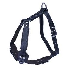 Kožený postroj JAGO s náprsenkou - Černá