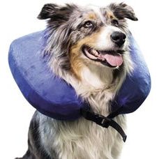 Nobby golier ochranný nafukovacie 34,5-41 cm