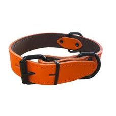 BAFPET Obojok HERRY, obšitý, čierne kovanie - Oranžová