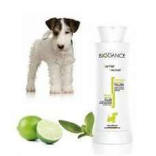 Biogance šampón Terrier secret 250ml