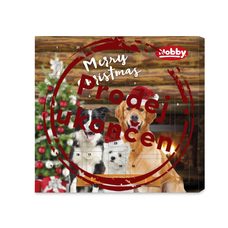 Nobby StarSnack adventný kalendár pre psov