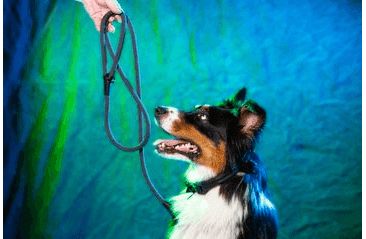 AMINELA FERRATA LANOVÉ VODÍTKO - SIVÁ