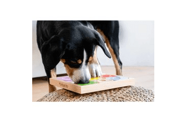 PSIE HLAVOLAM DOG SUDOKU EXPERT RAINBOW OD MY INTELLIGENT DOGS /OBTIAŽNOSŤ 3