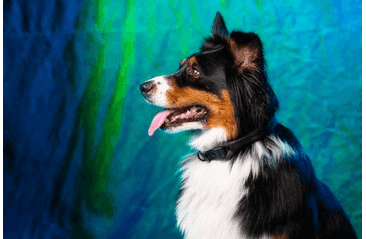 AMINELA FERRATA LANOVÝ OBOJOK - SIVÁ