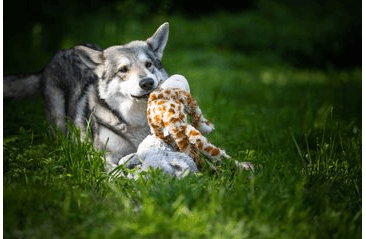 HRAČKA MULTIPET SWINGIN SAFARI ŽIRAFA PLYŠ 48 CM