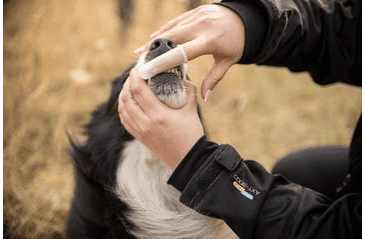 ARPALIT® CARE ZUBNÁ PASTA S CHLÓRHEXIDÍNOM 50ML