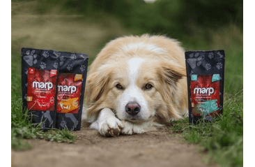 MARP VÝVAR Z DIVOKÉHO LOSA 230ML