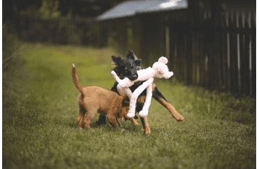 HRAČKA MULTIPET SWINGIN SLEVINS PRASA PLYŠ 67 CM