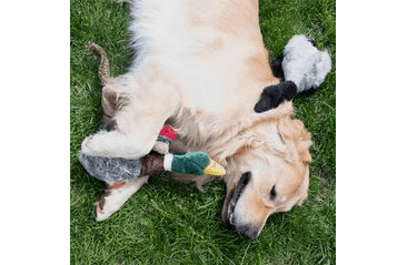 HRAČKA MULTIPET MIGRATORS KANADSKÁ HUS PLYŠ 40 CM