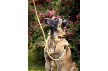 AMINELA FERRATA LANOVÝ OBOJOK - BÉŽOVÁ