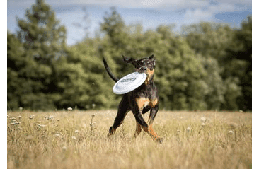 AMINELA FRISBEE FASTBACK CLASSIC WHITE