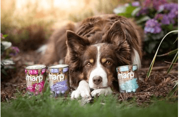 MARP VARIETY SINGLE TUNIAK KONZERVA PRE PSOV 6X400G