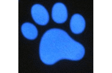 NOBBY LED POINTER  SVETELNÉ UKAZOVÁTKO LABKA 1KS