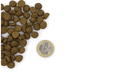 MARP HOLISTIC INDOOR CAT - PRE DOSPELÉ A STARŠIE MAČKY 2KG