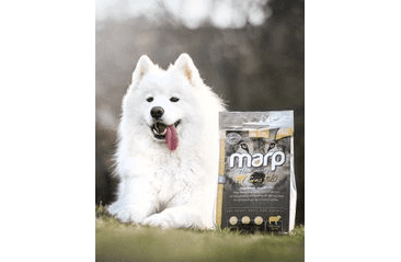 MARP VARIETY GRASS FIELD - JAHŇACIE 2KG