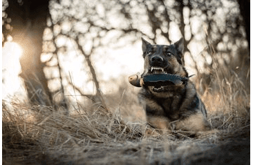 SPUNKY PUP RYBA NA APORTOVANIE 25CM