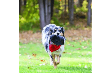 KONG EXTREME FLYER L FRISBEE 25CM