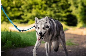 AMINELA FERRATA LANOVÉ PREPÍNACIE VODÍTKO - MODRÁ