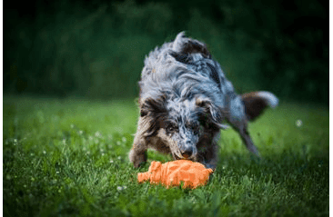 HRAČKA MULTIPET ORIGAMI PALS  CHROCHTAJÚCE PRASA LATEX 20,5 CM