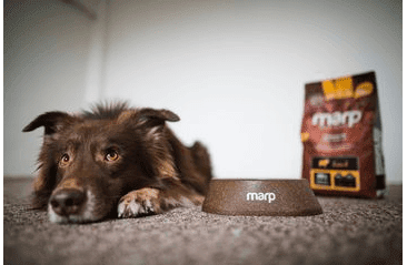 MARP EKOLOGICKÁ MISKA L 700ML