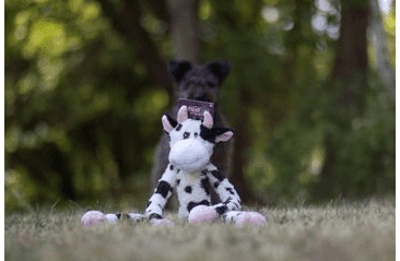 HRAČKA MULTIPET SWINGIN SLEVINS KRÁVA PLYŠ 67 CM