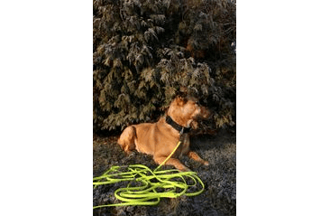 BAFPET STOPOVACIE VODÍTKO POLYTRACE - ZELENÁ