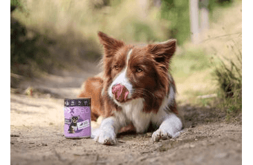 DOXNEO DUCK KONZERVA PRE PSOV S KAČICOU 400G